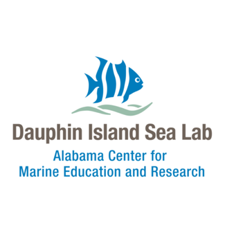  dauphin island camp logo